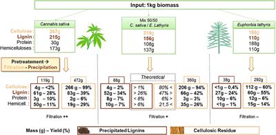 Single and Mixed Feedstocks Biorefining: Comparison of Primary Metabolites Recovery and Lignin Recombination During an Alkaline Process